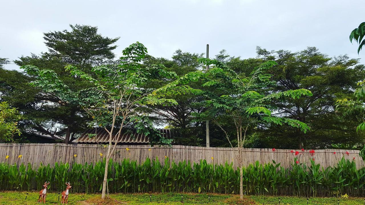 บ้านสวนมีดี ลำพูน Meedee Homestay Lamphun Ban Nong Pla Kho Esterno foto