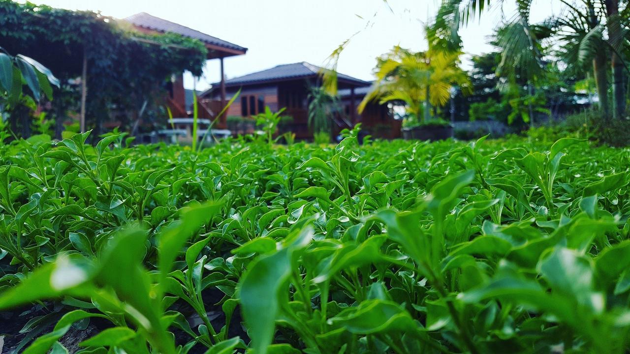 บ้านสวนมีดี ลำพูน Meedee Homestay Lamphun Ban Nong Pla Kho Esterno foto
