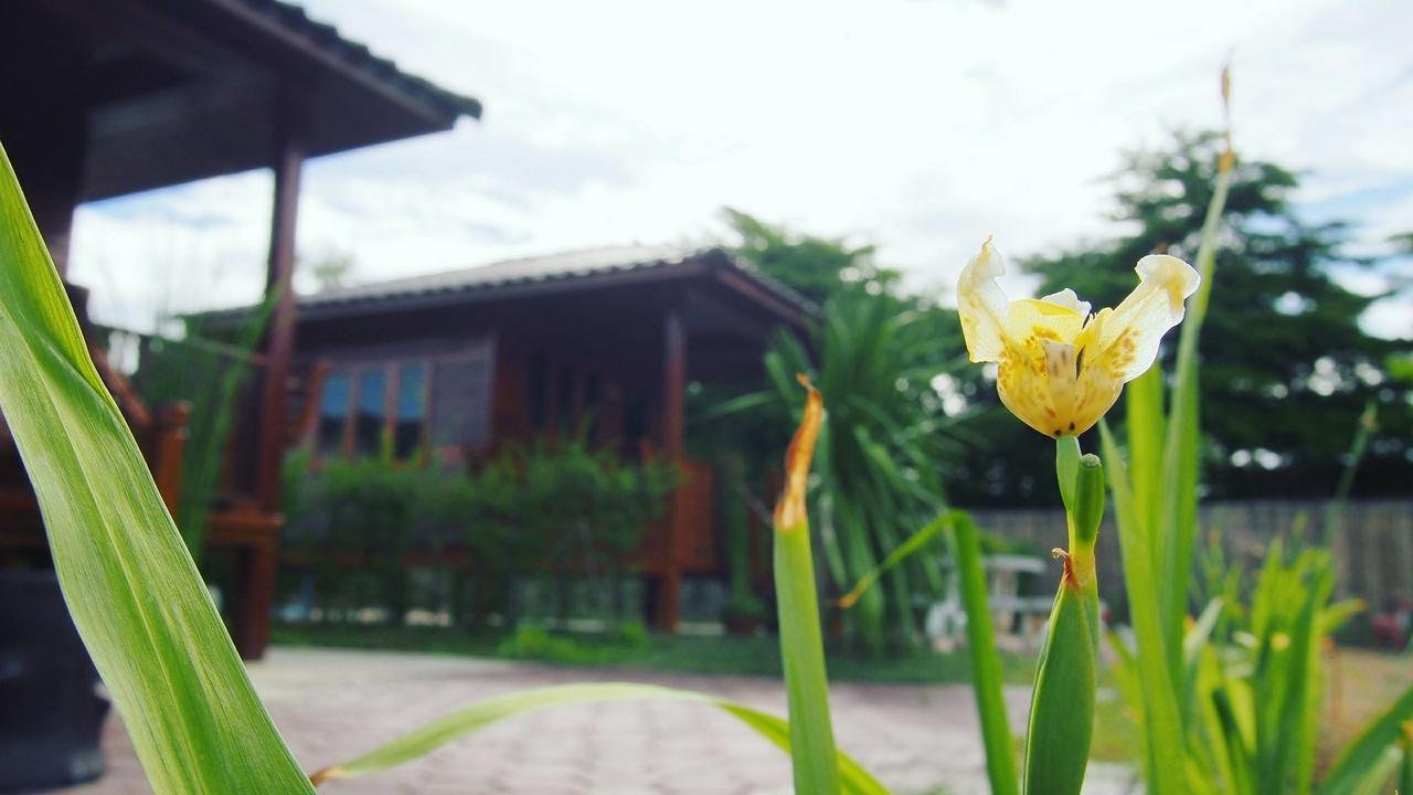 บ้านสวนมีดี ลำพูน Meedee Homestay Lamphun Ban Nong Pla Kho Esterno foto