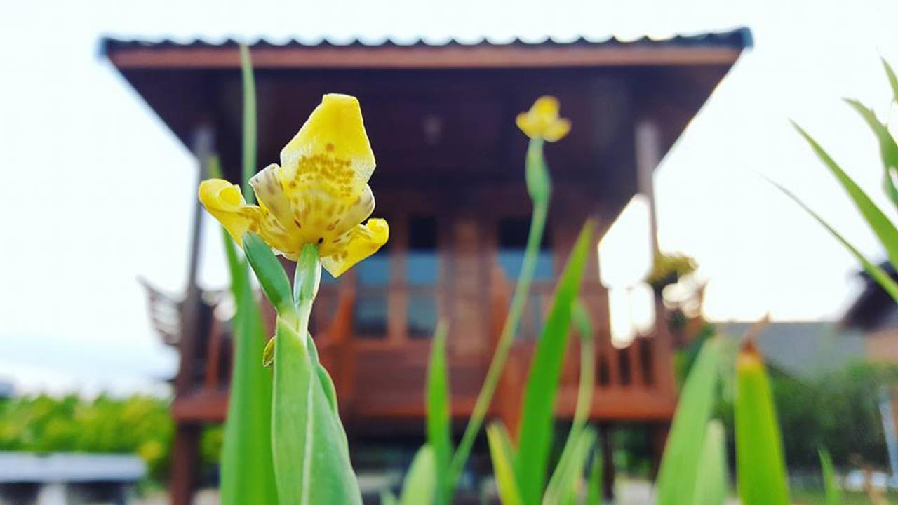 บ้านสวนมีดี ลำพูน Meedee Homestay Lamphun Ban Nong Pla Kho Esterno foto