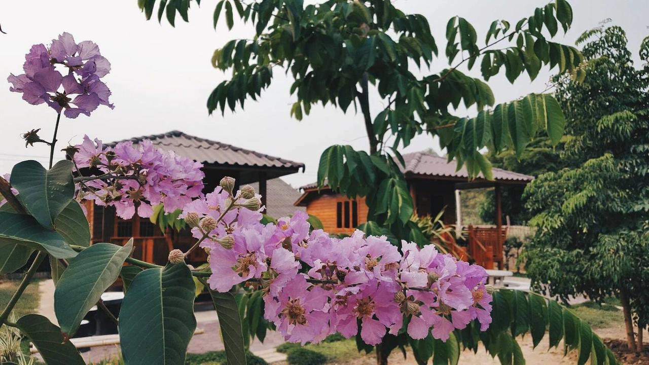 บ้านสวนมีดี ลำพูน Meedee Homestay Lamphun Ban Nong Pla Kho Esterno foto