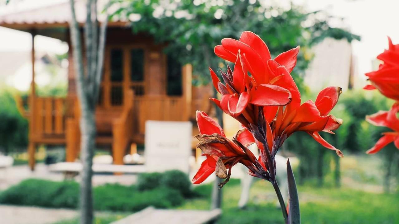 บ้านสวนมีดี ลำพูน Meedee Homestay Lamphun Ban Nong Pla Kho Esterno foto